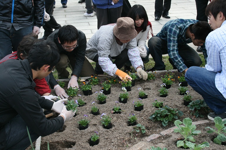 植え替えの様子