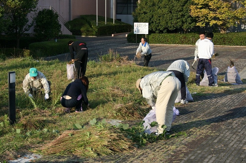 作業の様子