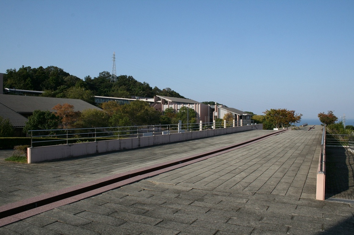 作業後の風景