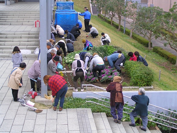 植え替え作業全景