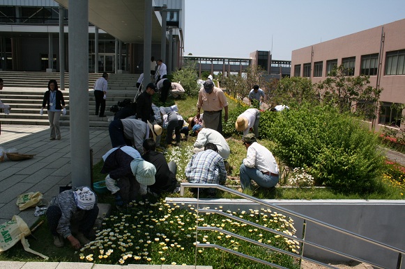 花壇とその回りの草取り