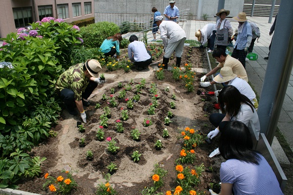 花壇植え替え6.26