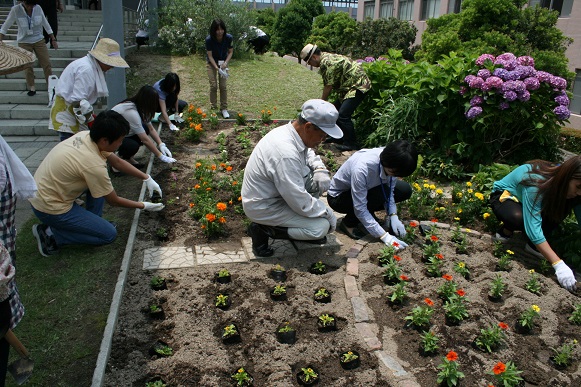 花壇植え替え6.26