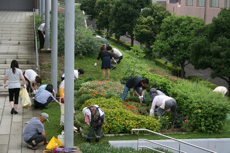 ８月お手入れ