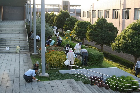 花壇お手入れ9月