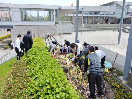 花壇のお手入れ