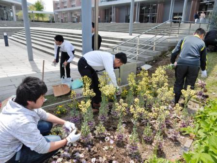 花壇のお手入れ