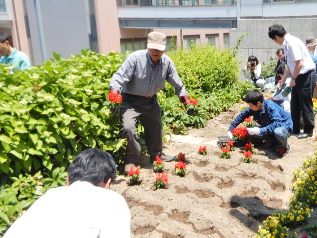 お花の植え替え