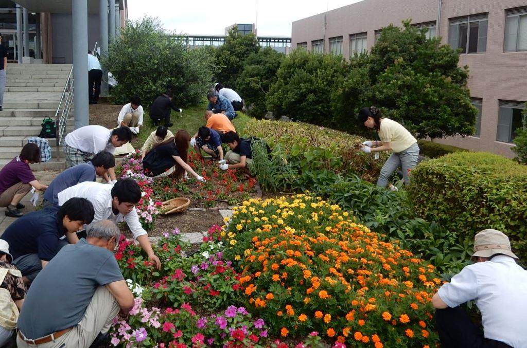 花壇のお手入れ