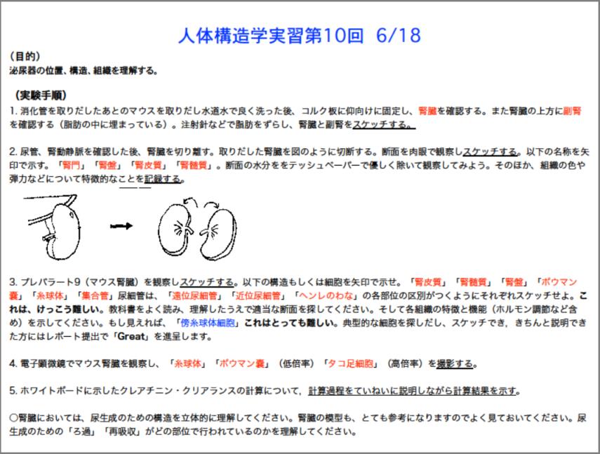 6月18日授業内容