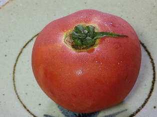 tomato